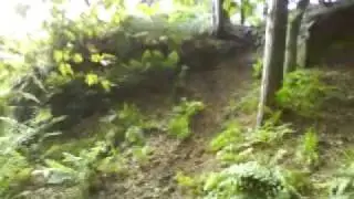 grinshill 7