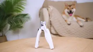 Pet Nail Clipper with LED Light for Dogs Cats - LIVINGbasics&trade;