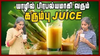 இளம் தலைமுறையை கவரும் யாழின் கரும்பு Juice Trend | Chumma Oru Trip | Jaffna Vlog