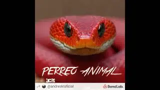 PERREO ANIMAL❌andres KL❌NCLS LIGTHS THE BEAT AUDIO OFICIAL