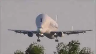 Airbus Beluga F-GSTA (Dolphin 1) Landing at Hawarden Airport Panasonic HC-V770 Test