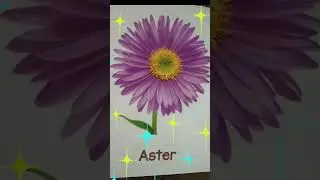 Baby learning #shorts #flowers #funforchildren