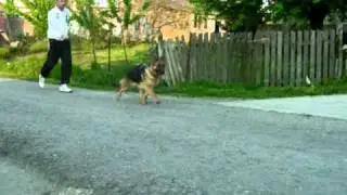 Tanita od Petkovica klip ul.MOV