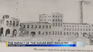 The Impact of the Sugar Beet Industry