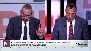 Focus sur le secteur agricole au Maroc