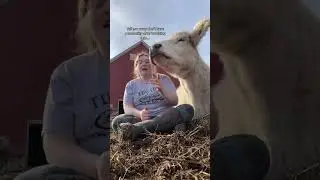 Это воспоминание! Но я его обожаю 😂