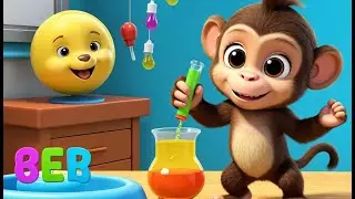 Silly Monkey Becomes a Curious Scientist | Funny and Fun Kids Nursery Rhyme Animation