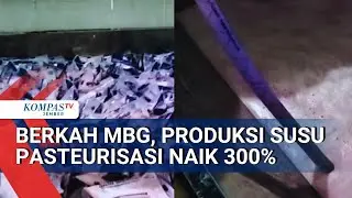 Produksi Susu Pasterisasi Boyolali Meningkat Pesat Karena MBG