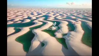Kids Songs Childrens Music Australia, Mark Andrew Hansen