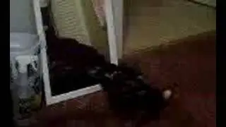 Captain Charisma and the mirror