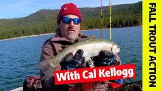 Fall & Winter Trout Tips: How To Hook Up In Cold Water! by CatchAmerica