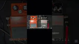 [Which is the BEST Distortion?]BOSS DS-1 vs MT-2W