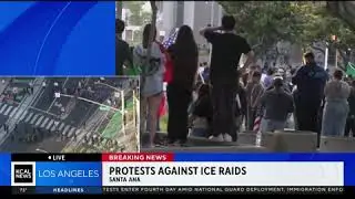 Michele Gile Reports During Protests After Tear Gas is Released on Crowd