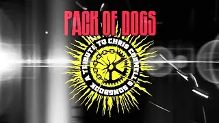 PACK OF DOGS : BLACK HOLE SUN