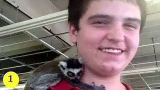 5 Real-Life Snakebite Stories That Will Leave You Stunned