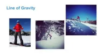 The Body In Motion - Balance and Stability