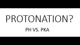 Protonation and Amino Acids (PH VS PKA)