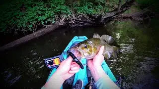 Snake Lure Vs. Smallmouth Bass!