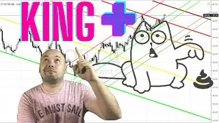 ТОРГОВАЯ СИСТЕМА KING. БИНАРНЫЕ ОПЦИОНЫ В ПЛЮС. БЕСПЛАТНО ДЛЯ ВСЕХ ПОДПИСЧИКОВ