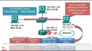 ARP Operation   ARP Reply