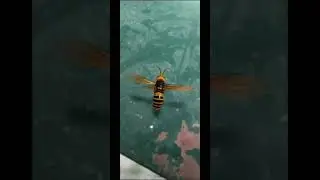 Augmented Reality   Sample Video