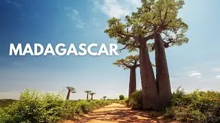 Madagascar Explained | Nature&rsquo;s Most Isolated Experiment