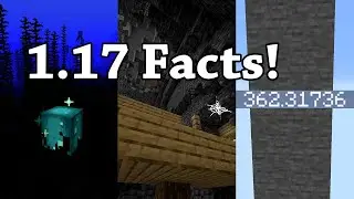 Minecraft 1.17 facts!