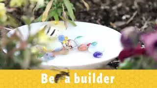 How to Bee Helpful