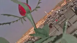 حفلة الملند العريس أبو وردة..ج٢..