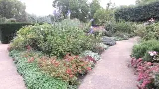 Tony Goes to London, Rose Garden