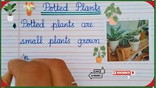 Few Lines Essay on Potted Plants | Learning Essay on Potted Plants | Benefits of Potted Plants🪴