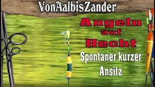 Spontaner kurzer Ansitz auf Hecht