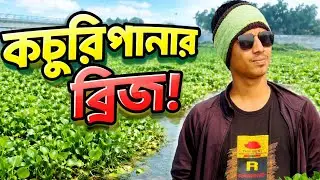 নদীর বুকে ভেসে থাকা কচুরিপানা আর প্রকৃতির অপরূপ সৌন্দর্য || @MaSum-10MC @MovieExplainBD92