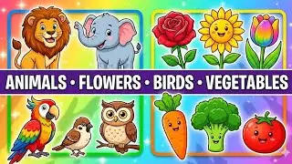 Learn Animal, Bird, Fruit, Vegetable & Colors Names | Kids Educational Video | preschool learning