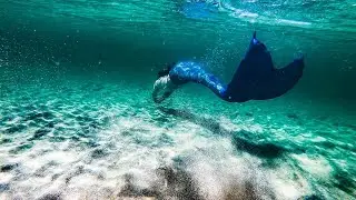 Mermaid🧜🏻&zwj;♀️Magic: Connecting With the Healing Energy of the Ocean