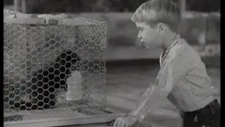 Lassie - Episode #206 - 