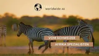 travel worldwide - Afrika Reisen mit dem Schweizer Reisespezialisten