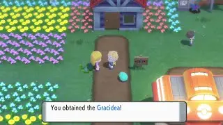 How to get Gracidea Flower in BDSP