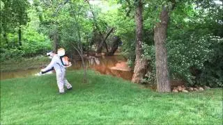 Mosquito Joe