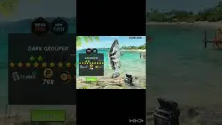 2 mythical and 1 boss fish caught on fishing clash