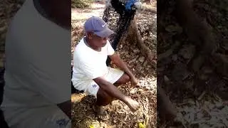 motalava funny clip...