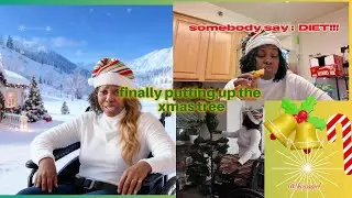 setting up my xmas tree -- no legs -- no stress-- just hungry lol