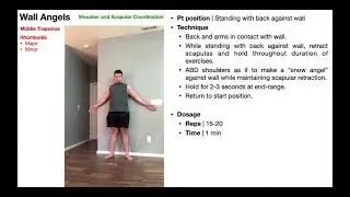TherEx | Wall Angels for Scapular/Glenohumeral Coordination