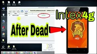 intex aqua lions 4g dead solution