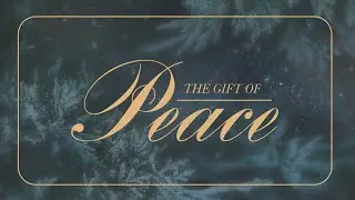 Dec 24 - Peace Light | Pastor Jordan Hansen