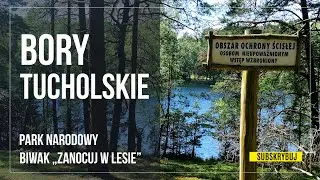 Noc w Borach Tucholskich, program 
