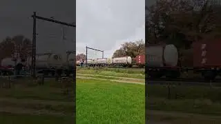 Vectron RTB Cargo + Platformy + :P + Super WoW :)