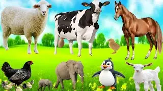 Красивые звуки сельскохозяйственных животных: корова, коза, лошадь, собака, кошка и другие | Виде...