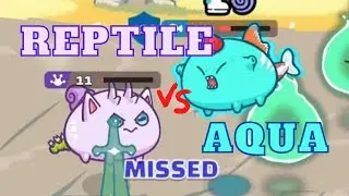 REPTILE vs AQUA RBP x AAP Arena Highlights