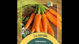 [Delivachoo] - La carotte
